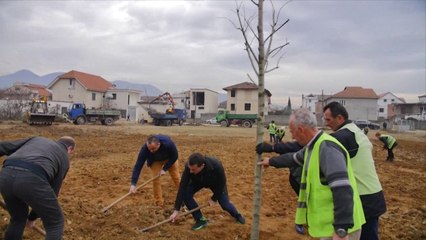 Descargar video: Report TV - Tiranë, nis ndërtimi i një parku të ri urban në Laprakë, mbillen 320 pemë