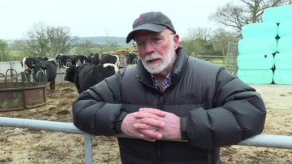 Brexit churns unease for Britain's speciality cheese