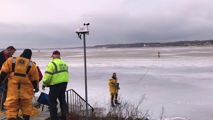 Un pompier sauve la vie d'un chien piégé dans un lac gelé