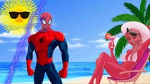 Funny SuperHeroes Spiderman SpiderGirl Hulk Frozen Elsa Ironman Joker Finger Family Nurser