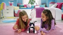 Spin Master Zoomer Chimp & Zoomer Kitty TV Toys Ad 2016