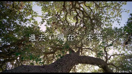 ボヤージュ・オブ・タイム - 映画予告編-WWuAZGp-ZmE