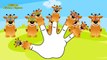 Finger Family Giraffe | ChuChu TV Animal Finger Family Nursery Rhymes Songs For Children