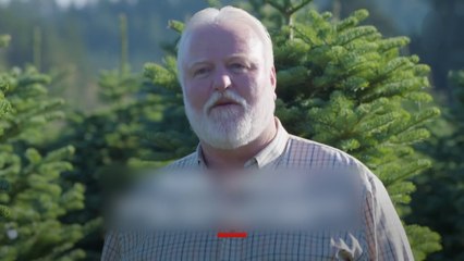 Të mbledhësh 1 milion bredha me helikopter