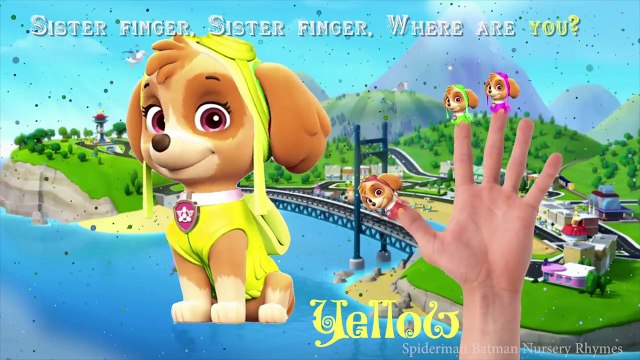 Paw Patrol Finger Family Songs Zuma , Rubble , Chase , Skye and Rocky Nursery Rhymes and m