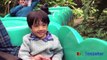 Amusement Parks for Kids Family Fun Outdoor Theme Park Disney World Roller Coasters Splash
