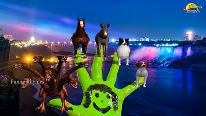 Animals Finger Family Nursery Rhymes Collection | Animals Daddy Finger Songs For Children