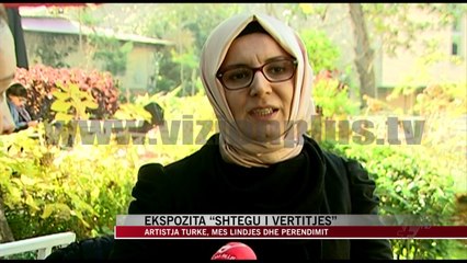 Ekspozita “Shtegu i vërtitjes” - News, Lajme - Vizion Plus