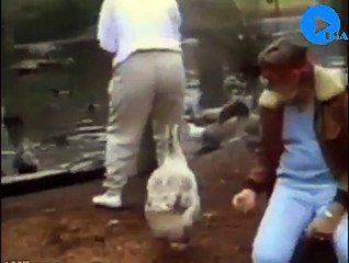 Funny Videos..i Can't Stop Laughing Seeing This