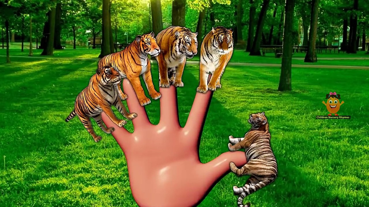 Colors Gorilla Dinosaurs Tiger Finger Family Songs For Babies Nursery Rhymes Collection