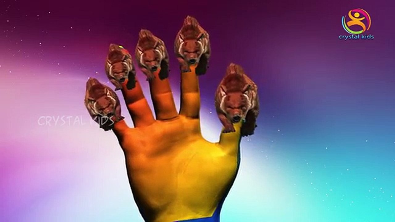 3d Animals rhymes | Finger Family Nursery children song | Bear finger family