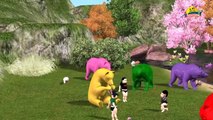 Learn colors lesson with Bear Nursery children learning colors with 3d Animals