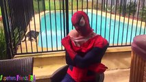 Spiderman, Congelado Elsa y los BEBÉS! w/ Rosa Spidergirl Joker Maléfica Ariel Sirena Rapunze