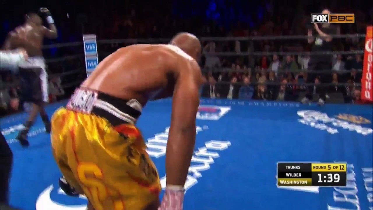 Wilder vs Washington KO