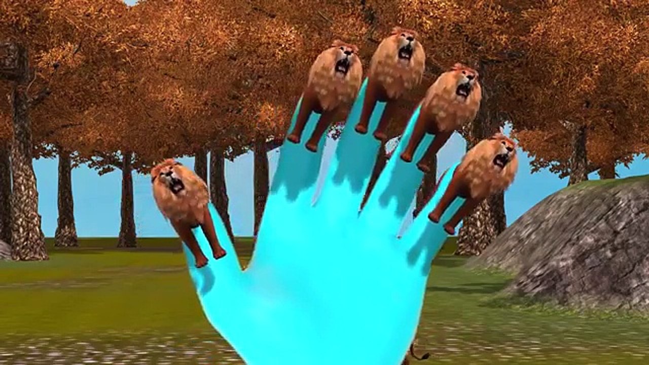 Tiger Finger Family | Lion Cheetah 3D Animated Finger Family Rhymes For Babies | Animals C