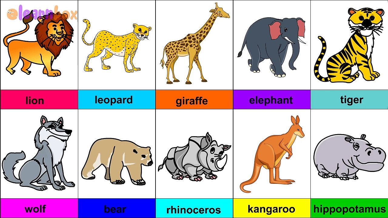 Learn Wild Animals & their Names free for Nursery Children & Preschool Kids  - video Dailymotion