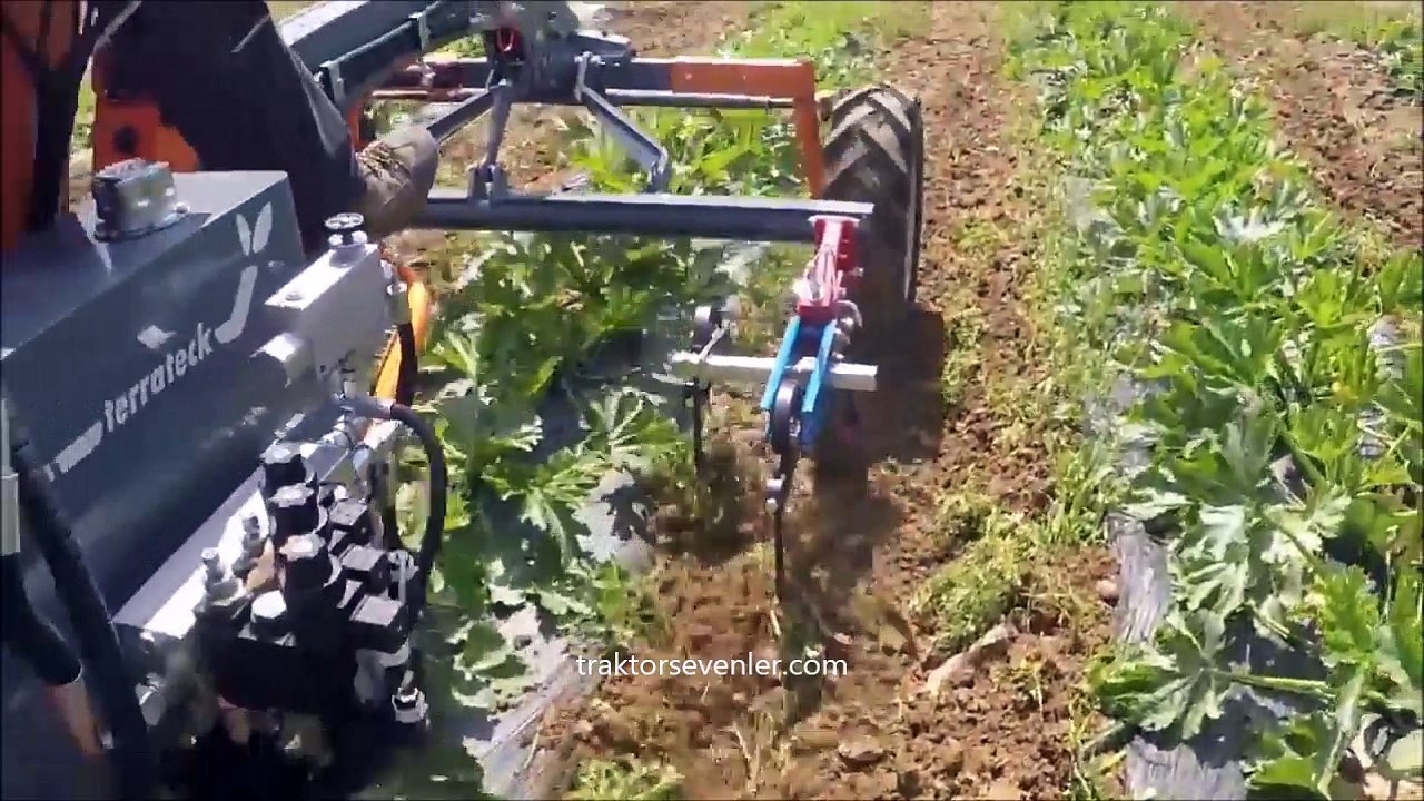 Kendi yürür çapa makinesi