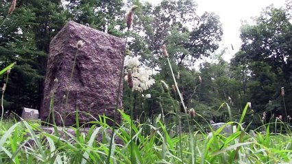 Spiderman Poo Fuego con Frozen Elsa y Anna vs Joker Chile Broma Divertida Película de Superhéroes En