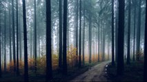 Abraham Hicks 2017 - A quick hundred grand