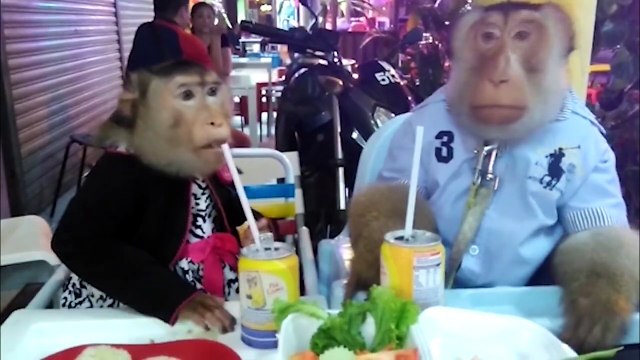 Tu veux te marrer, regarde cette compilation... Bien LOL