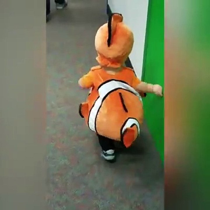 សត្វចម្លែក 