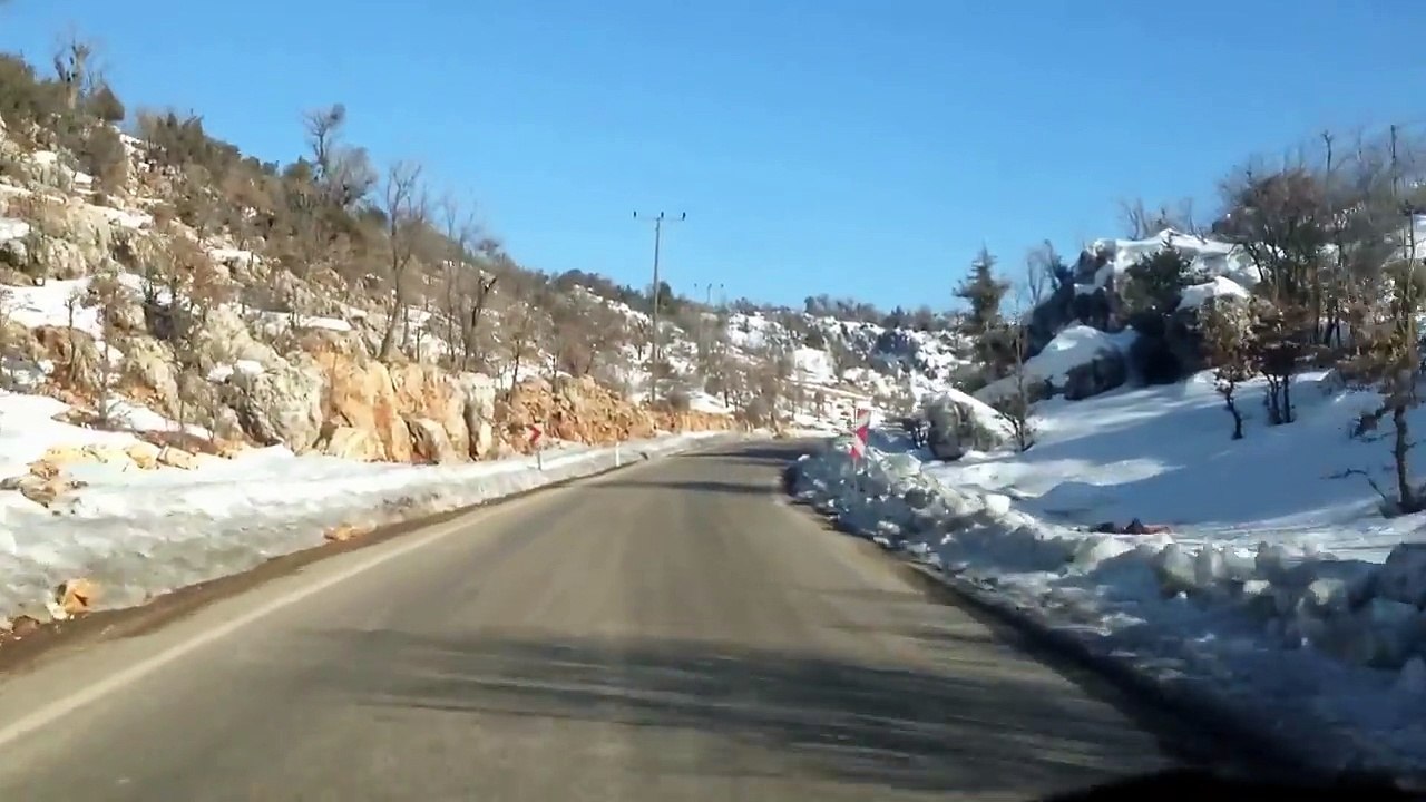 Ankaralı ibocan  2017