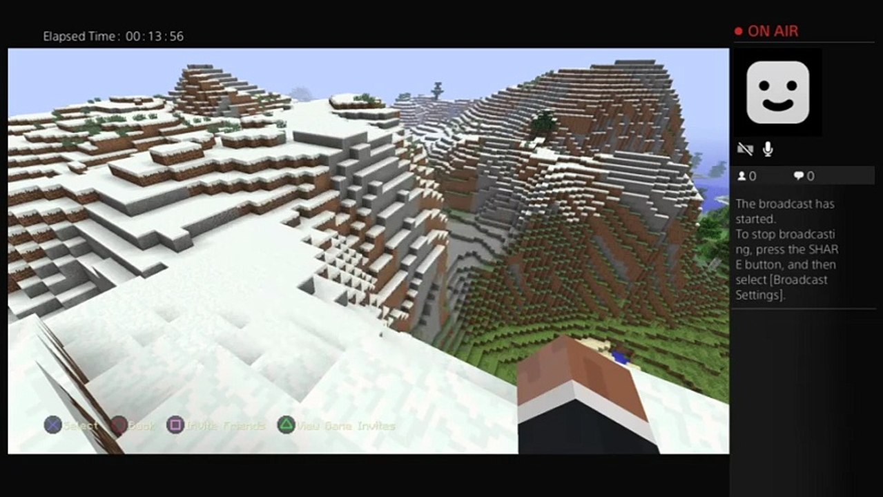 Minecraft (37)