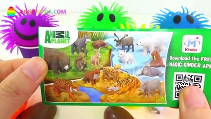 Smiley Furry Balls Surprise Eggs Cups Hello Kitty Super Mario Kinder Animals Eggvideos Com