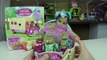 GRAN SORPRESA HUEVOS de Sylvanian Families Calico Critters Lil Woodzeez Sorpresa Juguetes