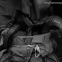 CHARLIE CHAPLIN FUNNY CLIPS