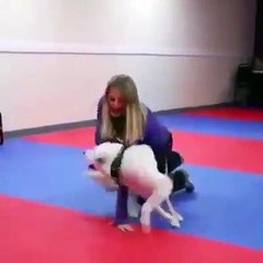 فتاة ترقص مع كلبها المدرب