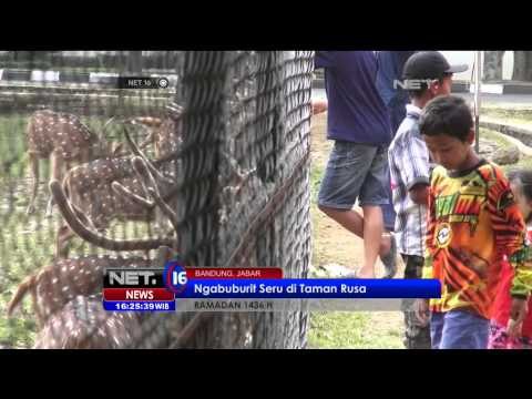 Ngabuburit Seru di Taman Rusa di Bandung - NET16
