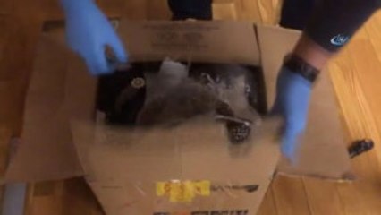 Vazo İçerisinde Uyuşturucu Sevkiyatı