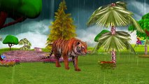 Colors Tiger Dinosaurs Finger Family Songs | Hot Cross Buns Nursery Rhymes | Lion Finger F