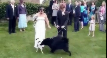 А чё,прикольно №12