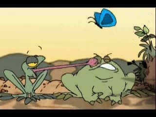 Two Frogs