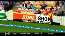 best 10 Hit Wickets In Cricket History (Updated 2017)