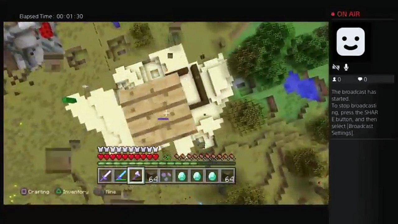 Minecraft (39)