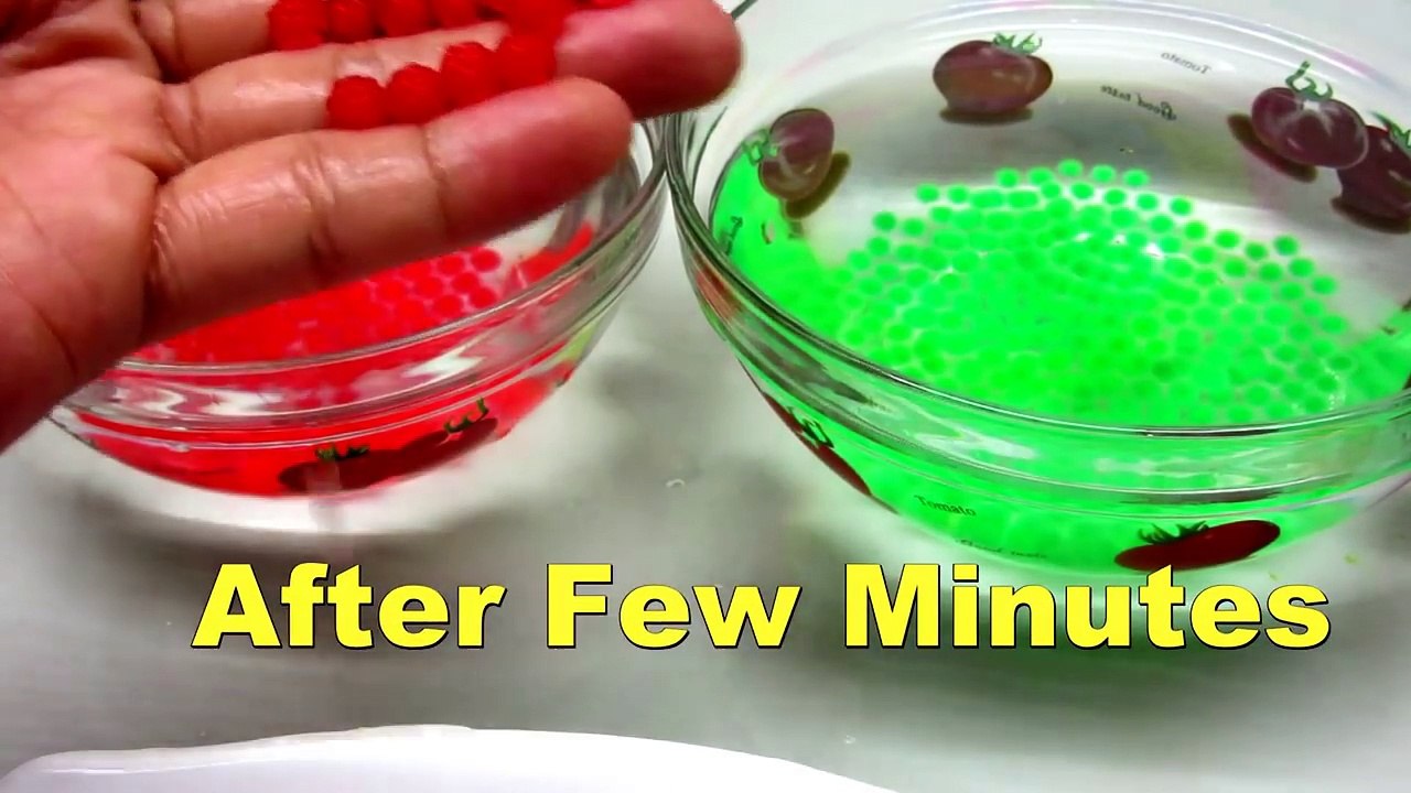 biggest orbeez in the world