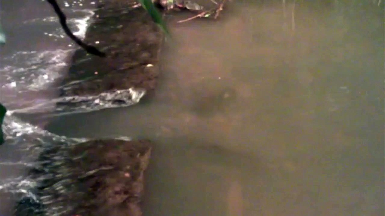 a la pêche 