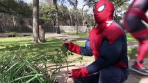 Deadpool Vs Spiderman - Real Life Superhero Fights - Epic Battle Round 1