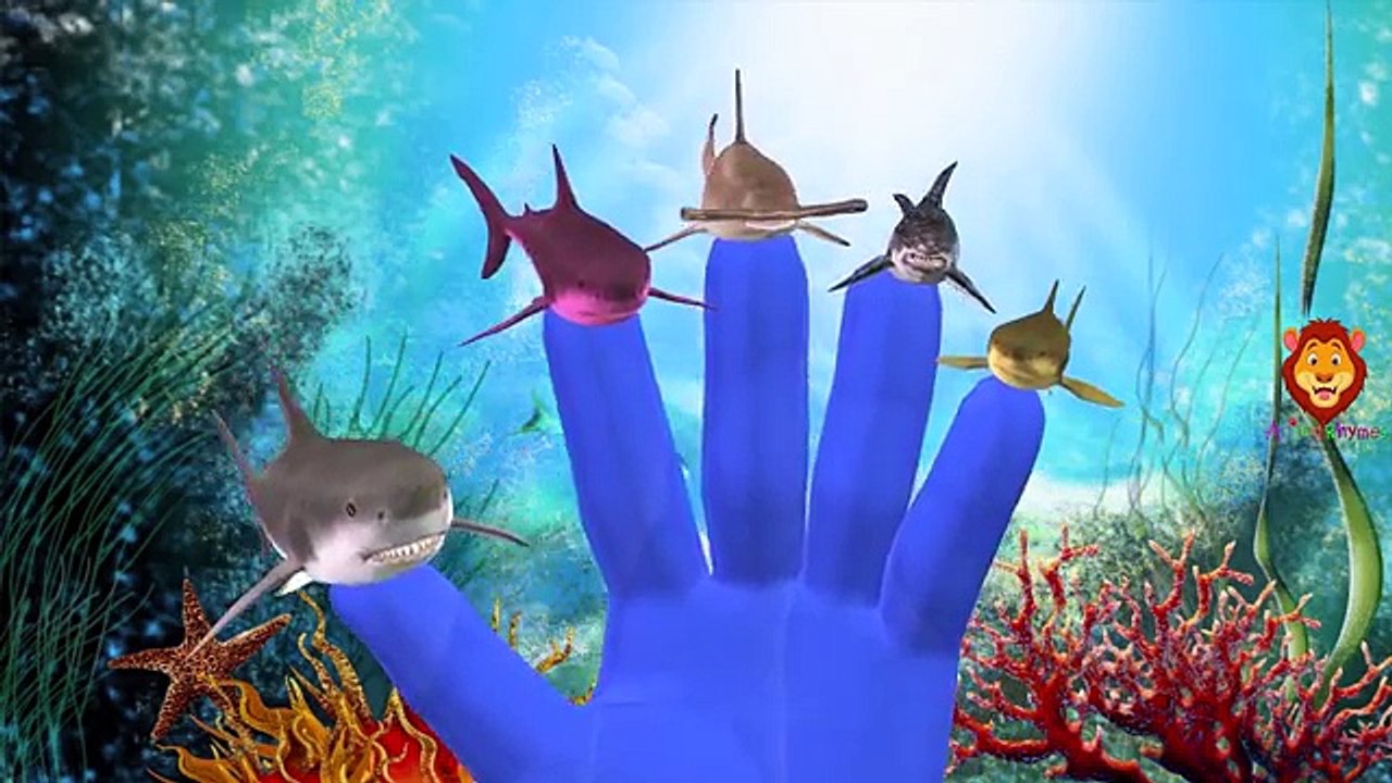 Finger family song | Shark, Dolphin, Whale Fish Nursery rhymes for kids