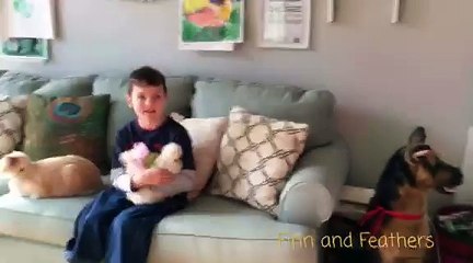 Sauvé d’une foire d’animaux, cette poule est devenue un animal de thérapie !