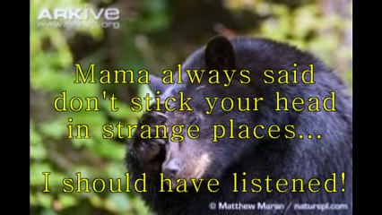 Il Distingue Une Forme Noire Qui Traverse La Rue. Il S'approche, Complètement Choqué Par Ce Qu'il Voit...