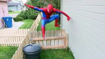 Spiderman vs Black Spiderman - Real Life Superhero Battle _ Boxing Fight-E7oEkT1