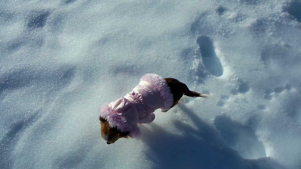 Découverte de la neige