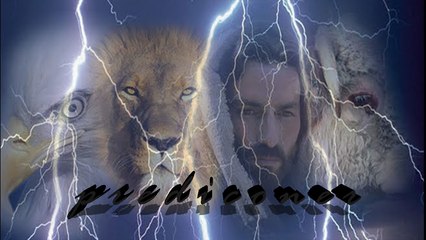 Las bestias y el cordero,Los angeles y el juicio.