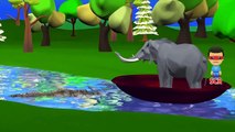 Dedo De La Familia De Animales De Dibujos Animados De La Colección De Aprender De Los Animales Para Bebes Canciones Infantiles Niños