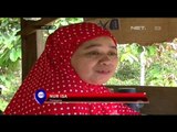 Dampak Kekeringan Terhadap Tempat Wisata di Polewali Mandar - NET5