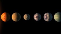 Buscan señales inteligentes en TRAPPIST 1
